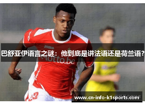 巴舒亚伊语言之谜:他到底是讲法语还是荷兰语? 巴舒亚伊语言之谜:他到底是讲法语还是荷兰语?