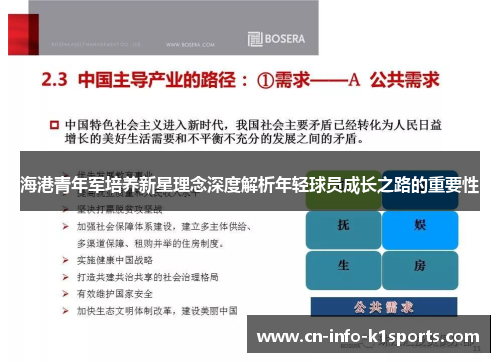 海港青年军培养新星理念深度解析年轻球员成长之路的重要性 海港青年军培养新星理念深度解析年轻球员成长之路的重要性