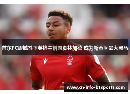 首尔FC震撼签下英格兰前国脚林加德 成为新赛季最大黑马 首尔FC震撼签下英格兰前国脚林加德 成为新赛季最大黑马