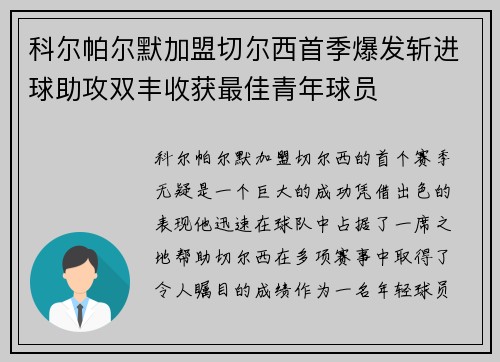 科尔帕尔默加盟切尔西首季爆发斩进球助攻双丰收获最佳青年球员